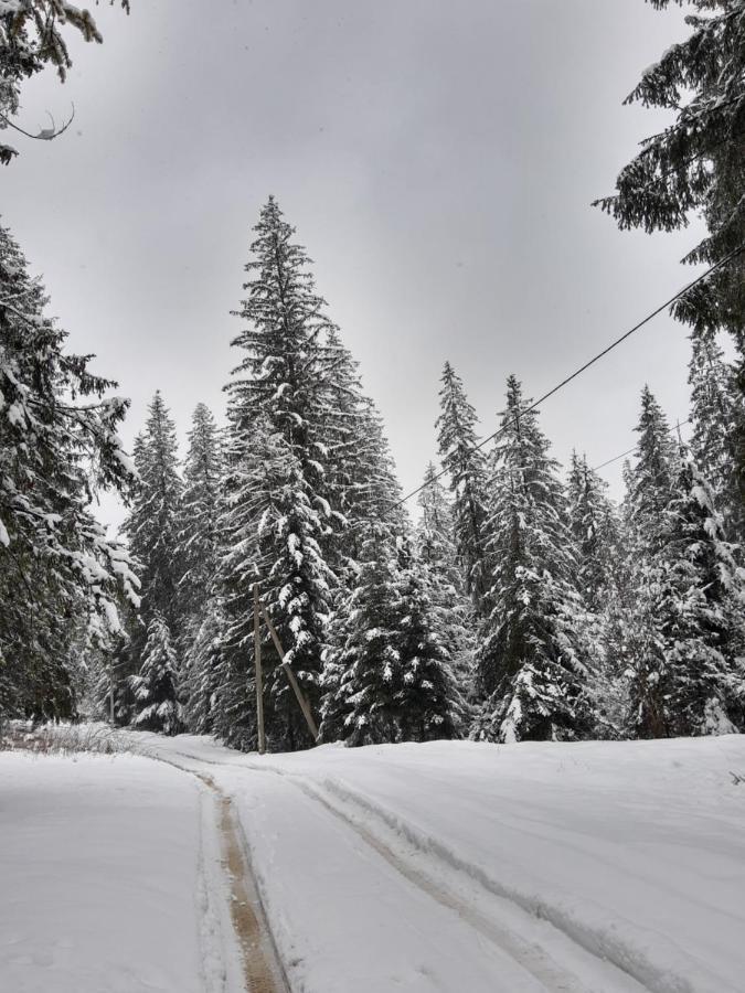 Villa M Mykulychyn Bagian luar foto