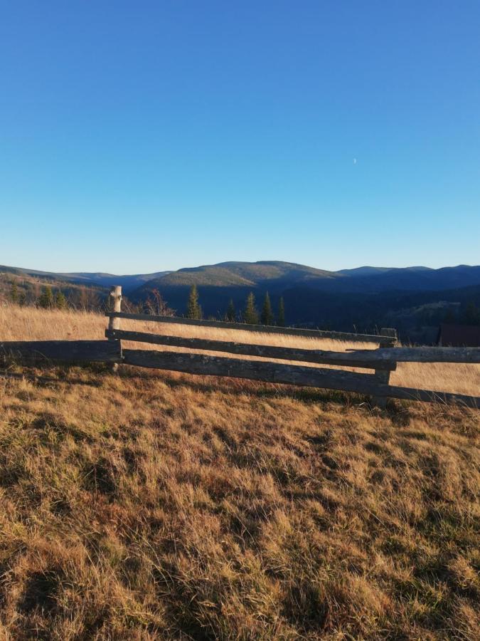 Villa M Mykulychyn Bagian luar foto