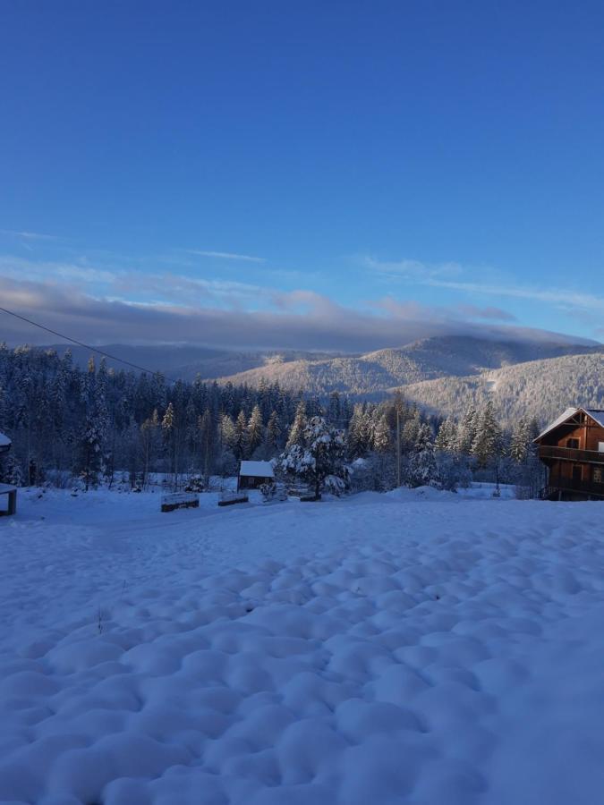 Villa M Mykulychyn Bagian luar foto