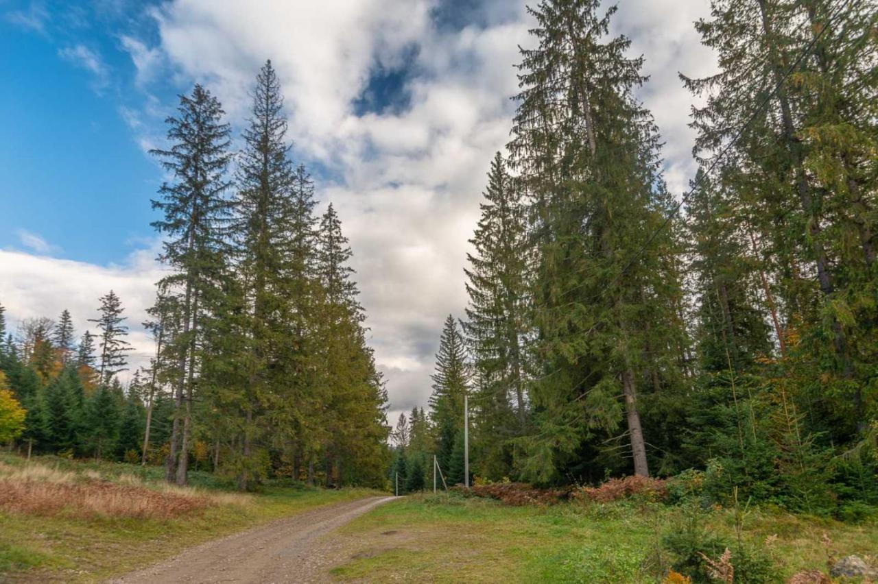 Villa M Mykulychyn Bagian luar foto