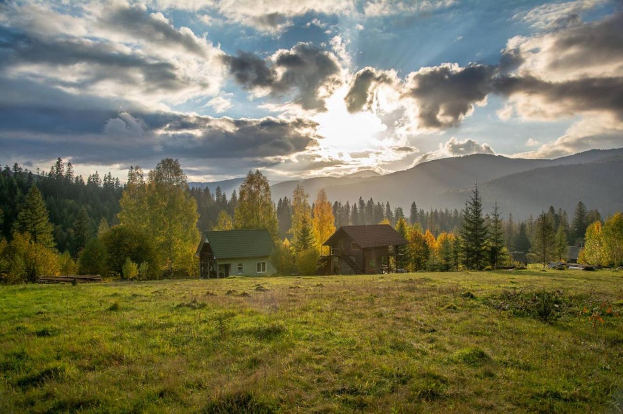 Villa M Mykulychyn Bagian luar foto