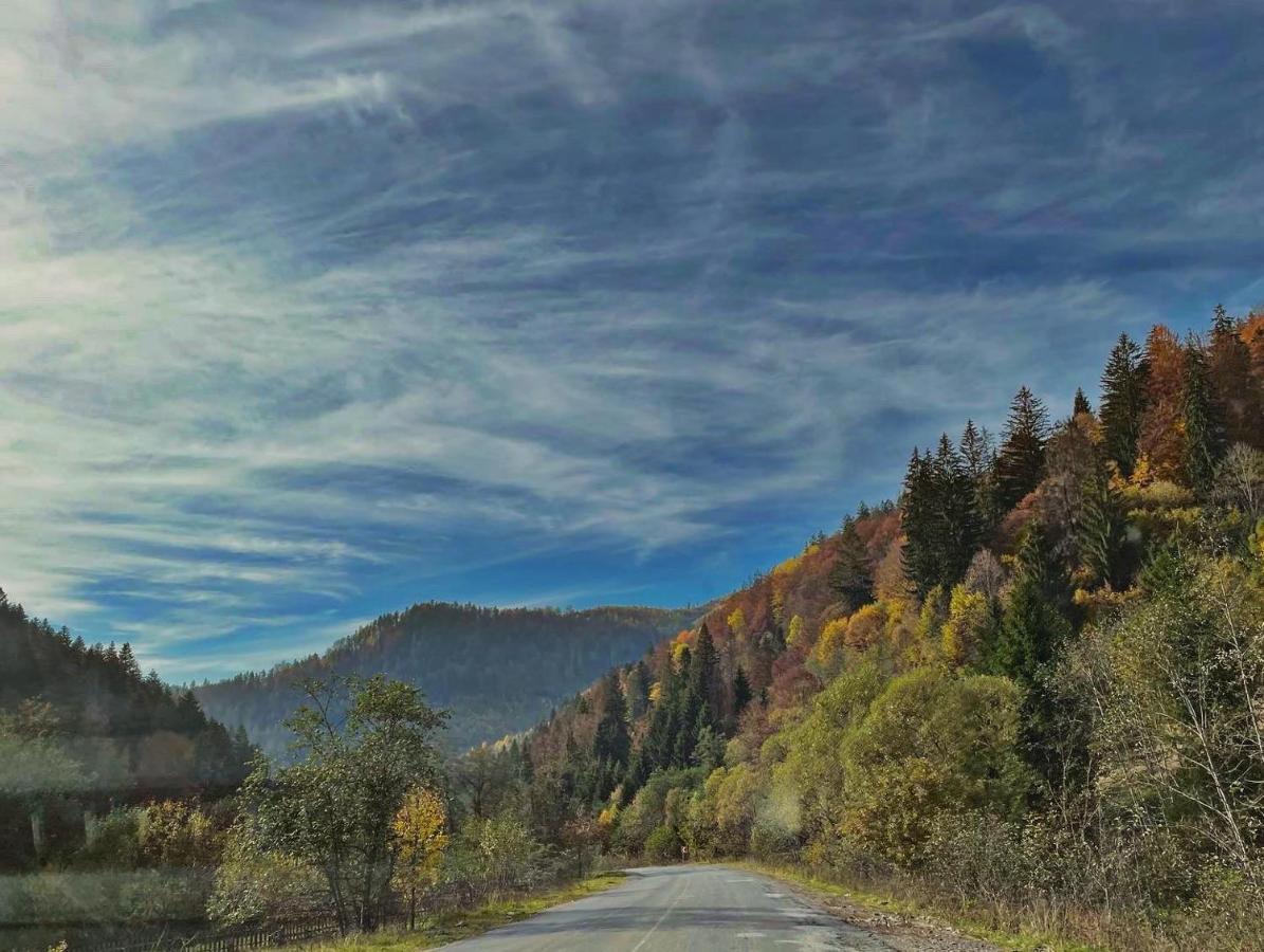 Villa M Mykulychyn Bagian luar foto