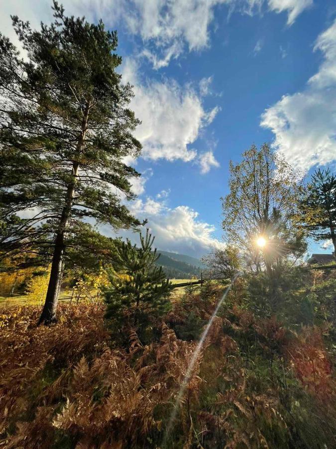 Villa M Mykulychyn Bagian luar foto